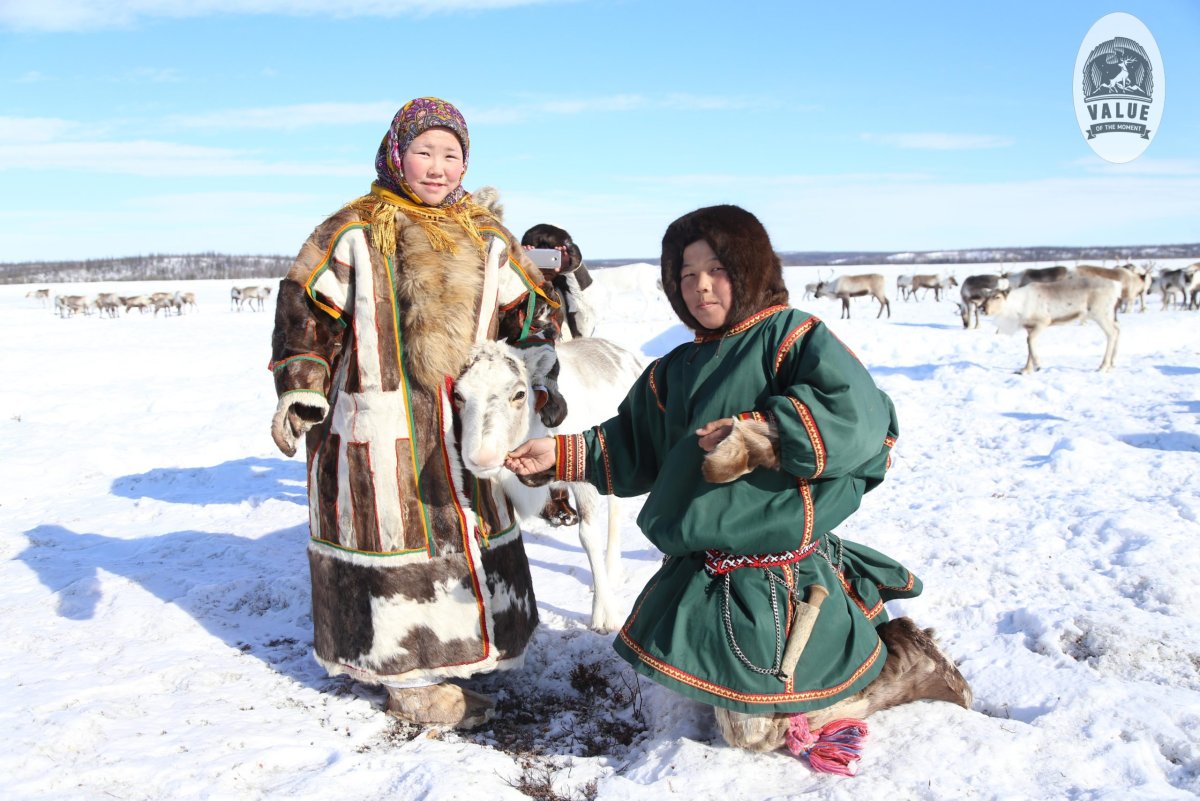 День оленевода Надым 2020