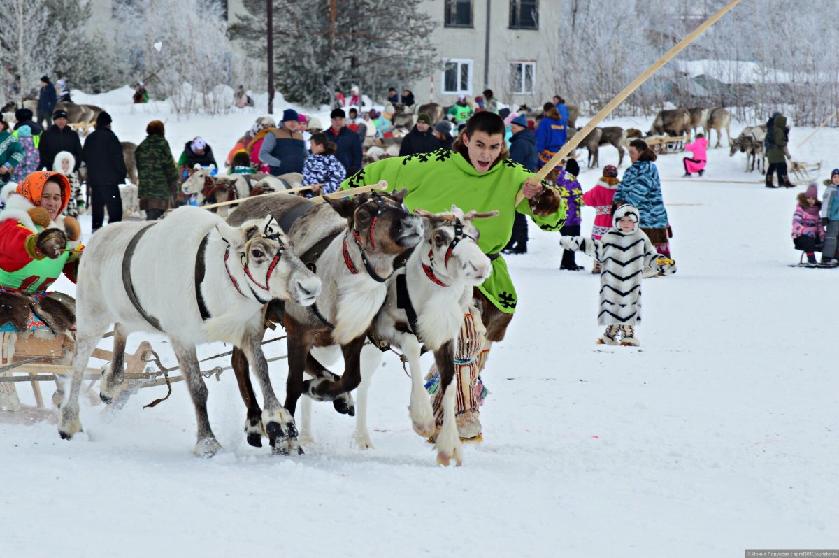 День оленеводов 2022 Приуралье