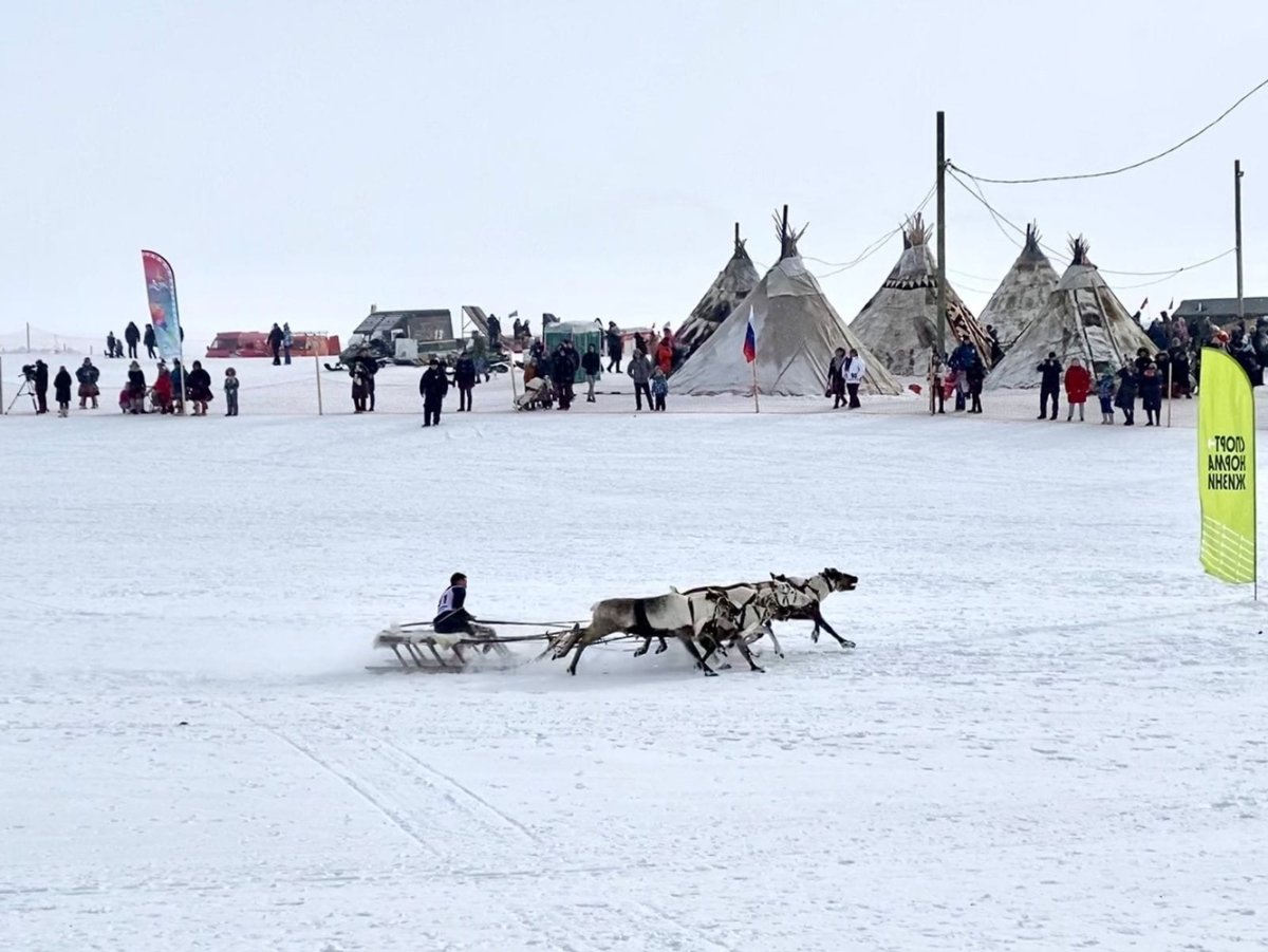 День оленевода Надым 2022