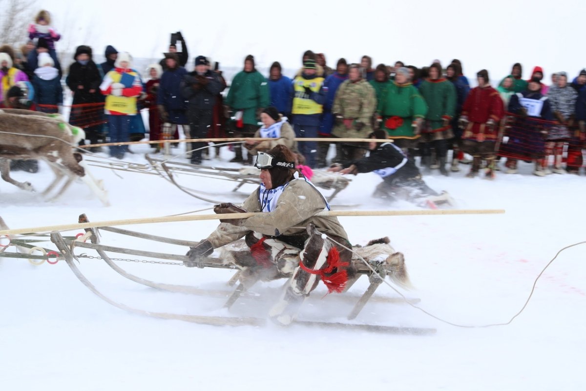 День оленевода 2021 Надым