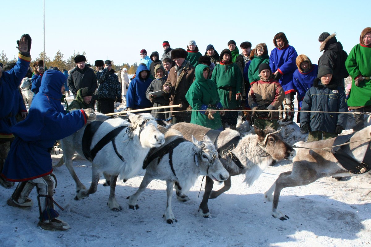 Оленеводы Ханты-Мансийска