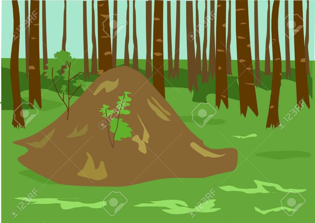 Муравейник для детей