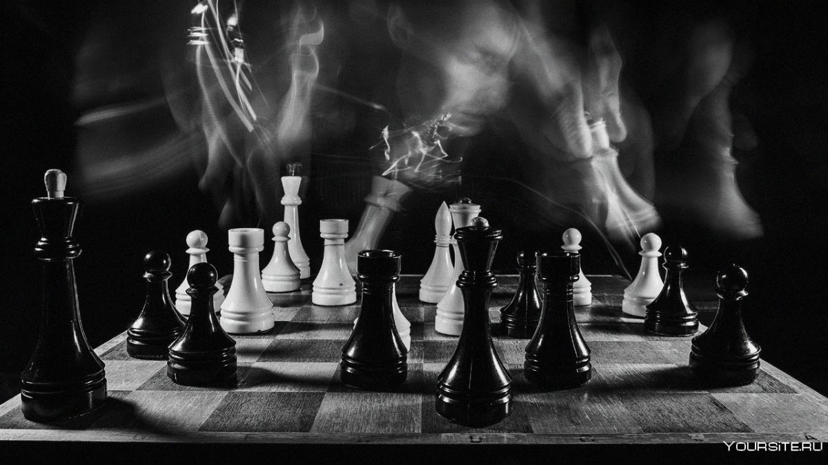Шахматы черные и белые