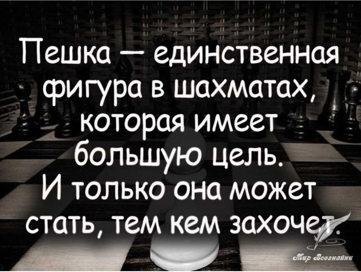 Шахматы обои