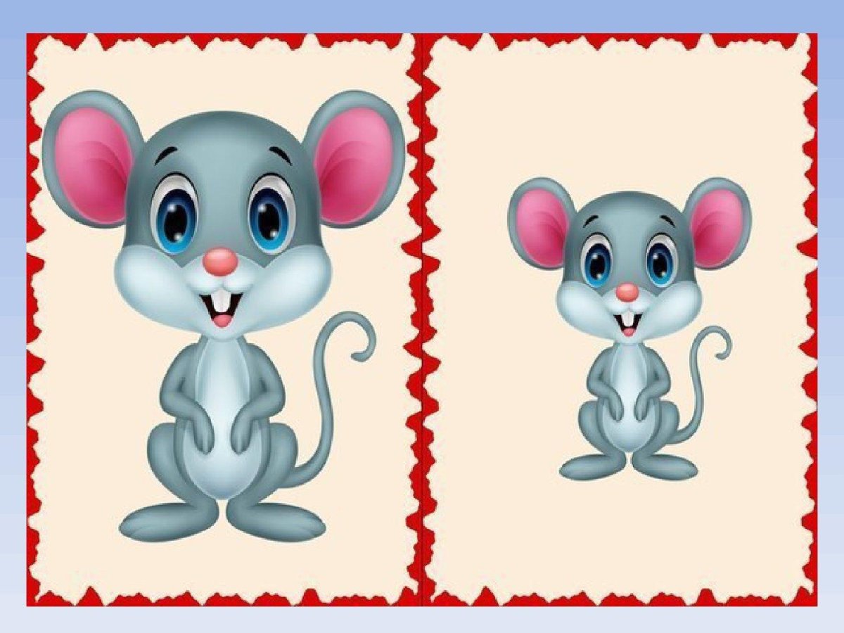 Большой и маленький