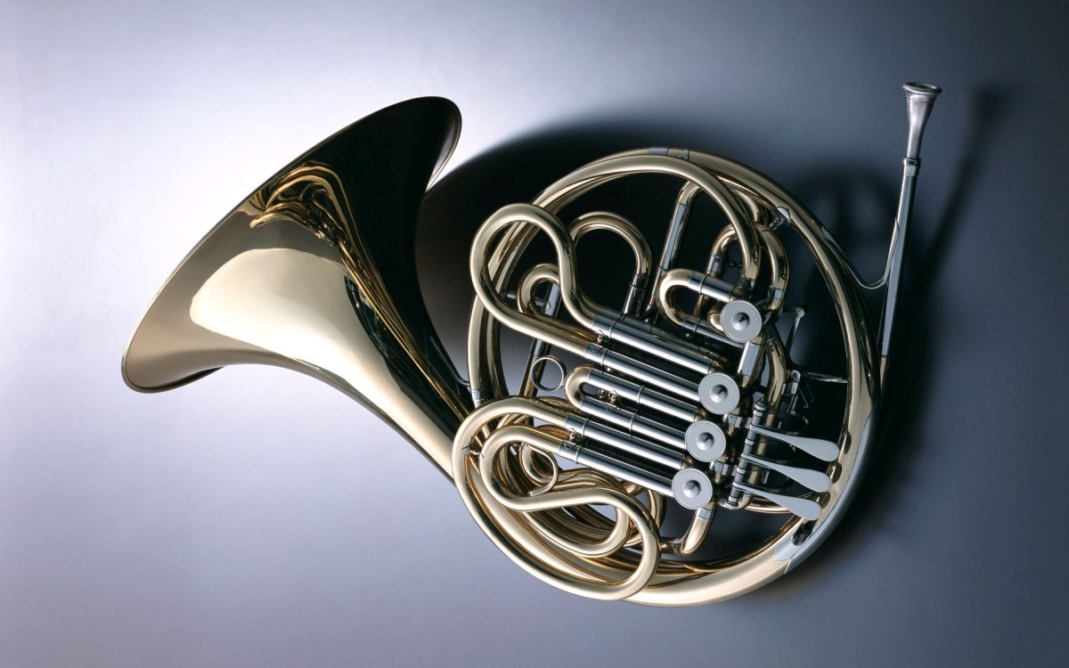 Медные духовые инструменты валторна