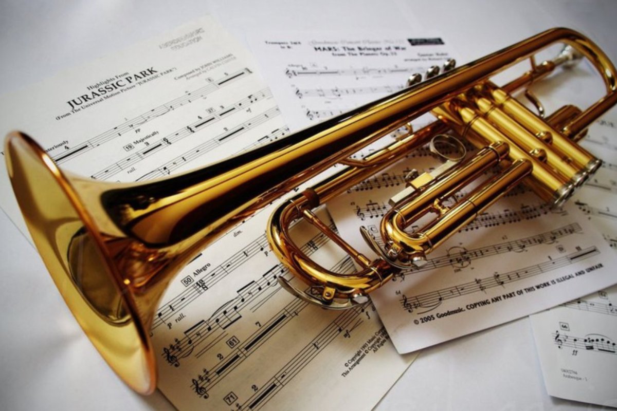 Музыкальный инструмент похожий на трубу