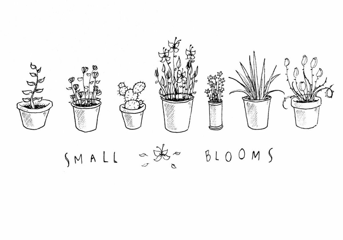 Эстетика чёрного и белого