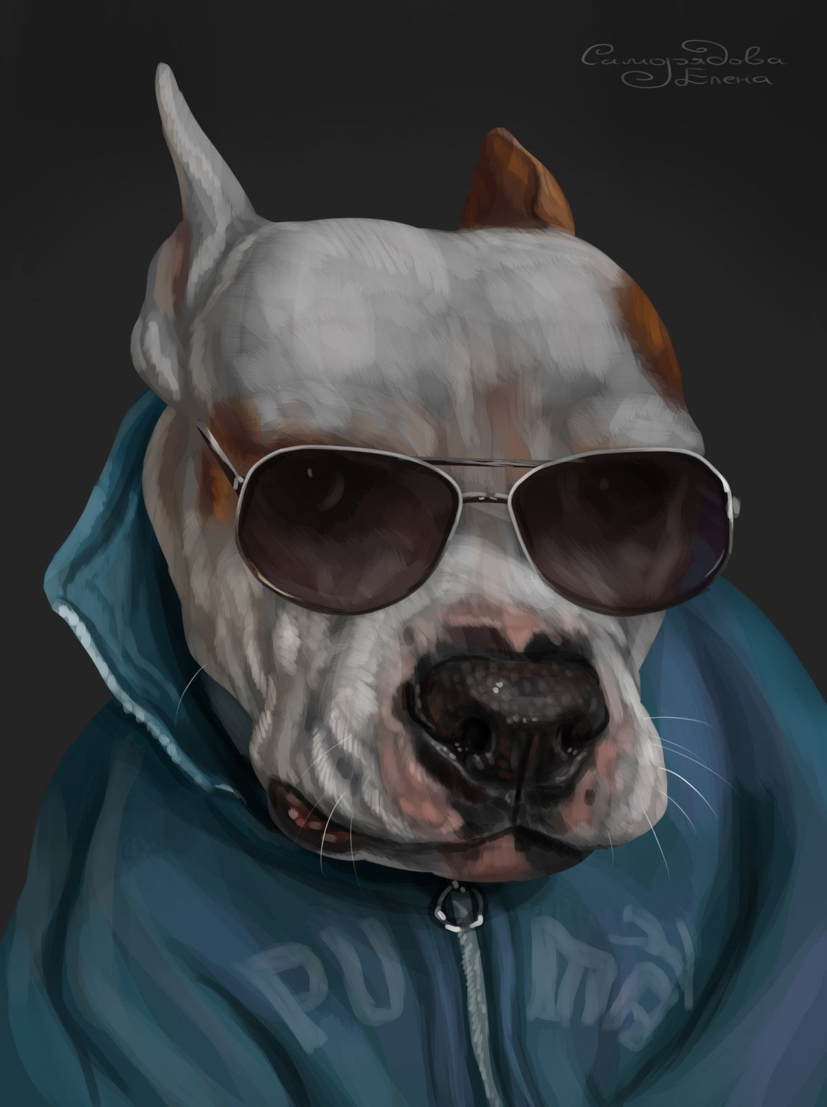 Винил Геншин Импакт