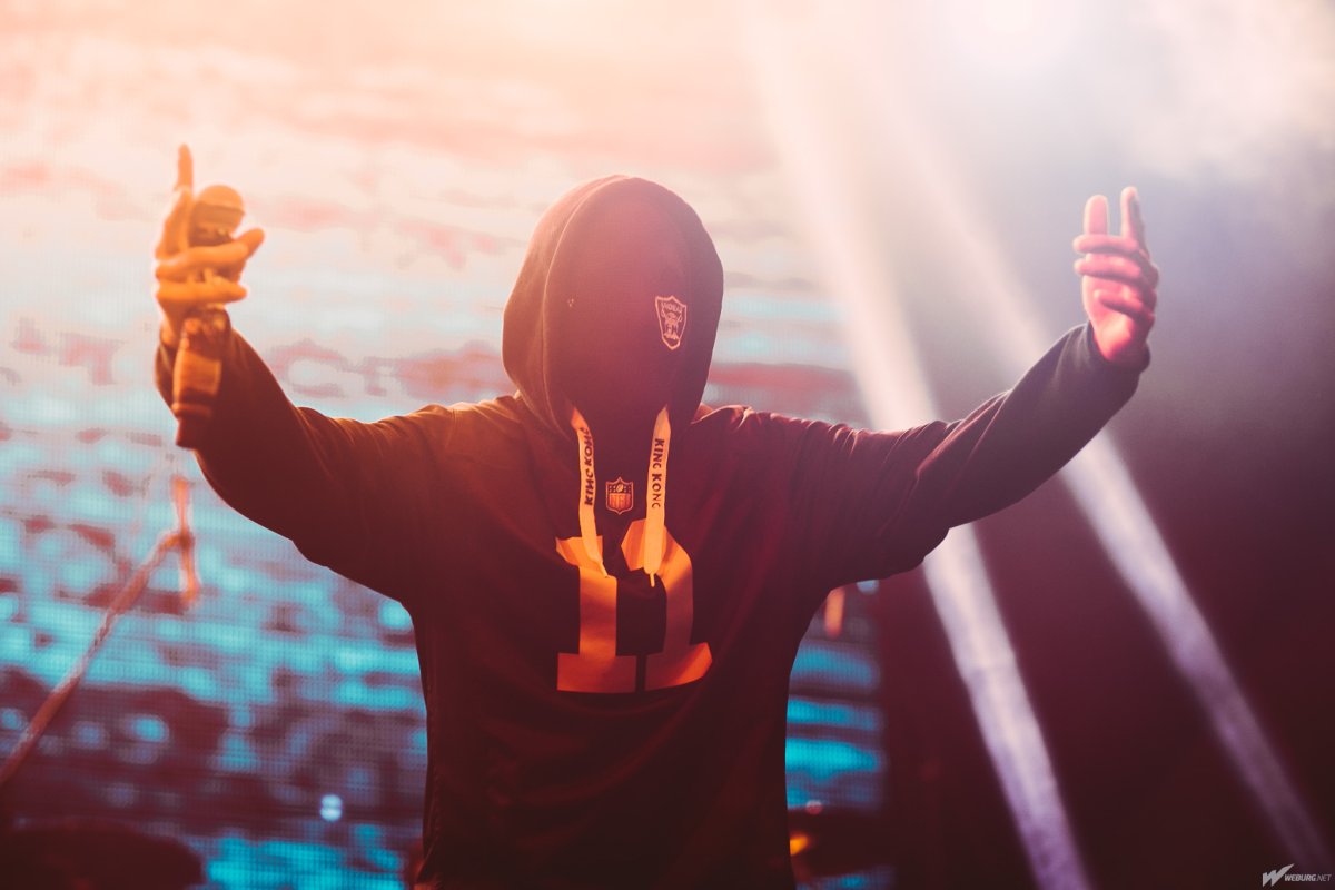 Сибирский хаски