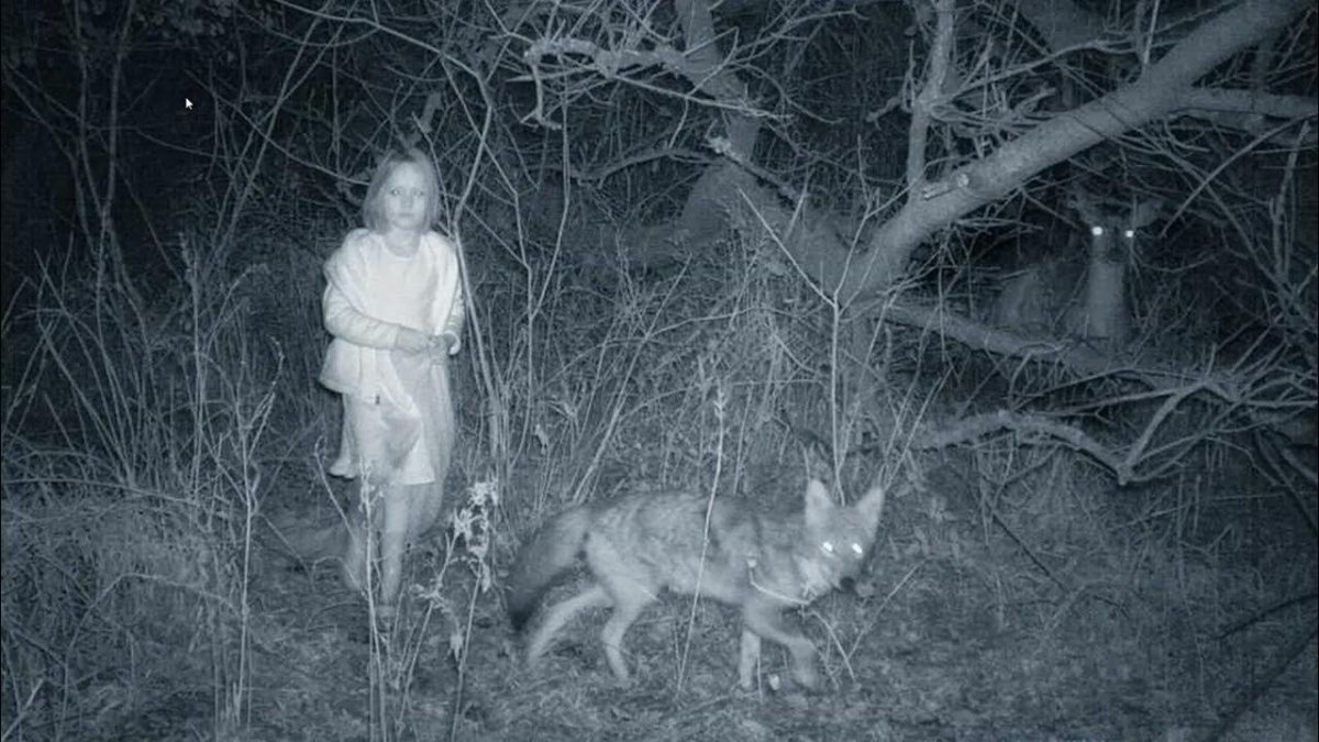 Мистические видения