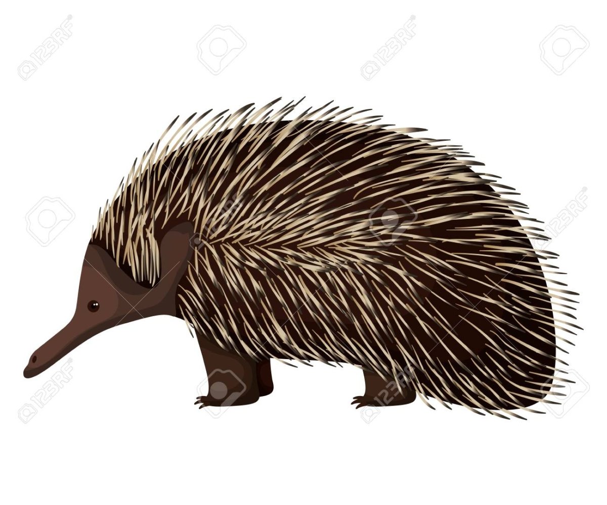 Маска ехидна