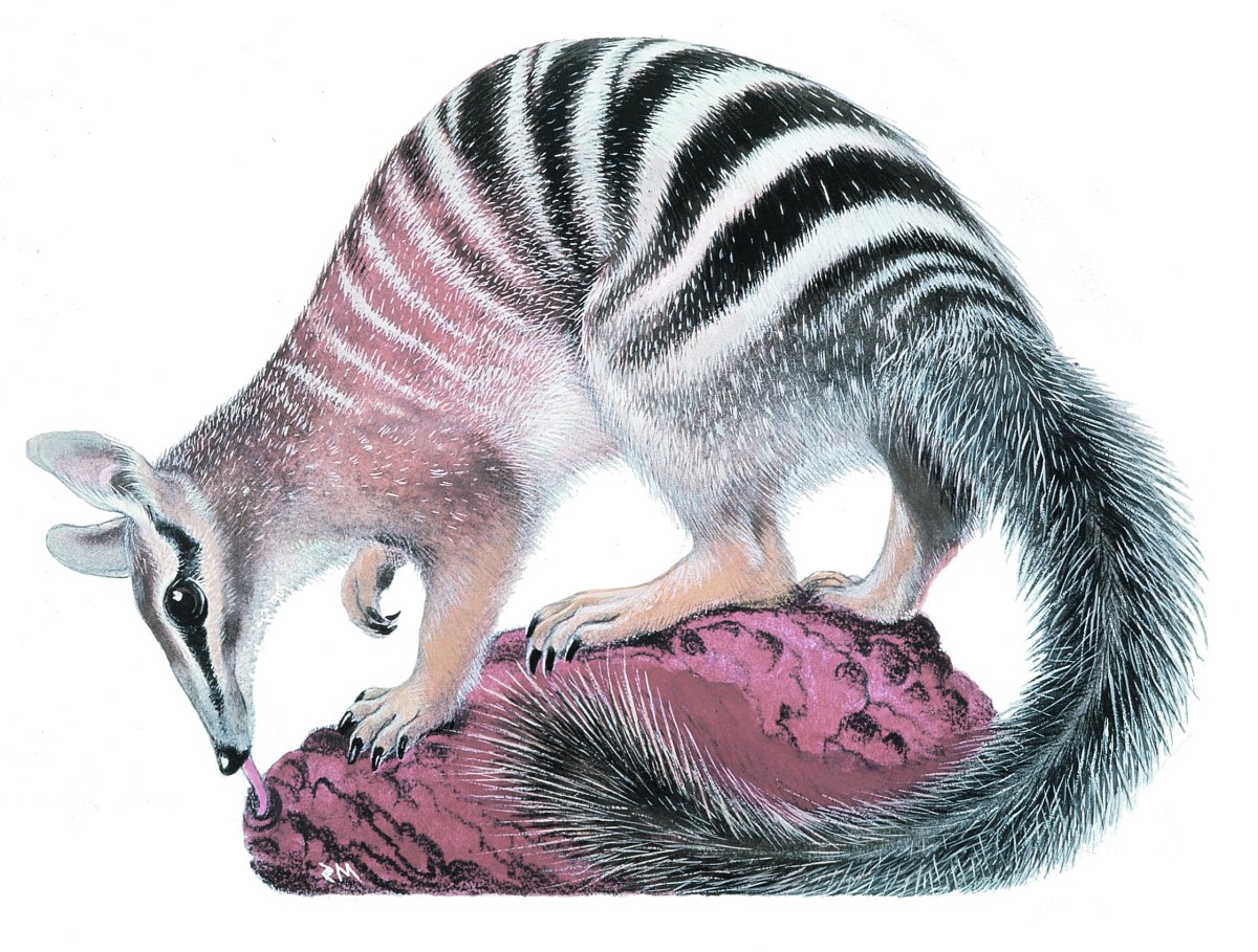 Однопроходные на белом фоне