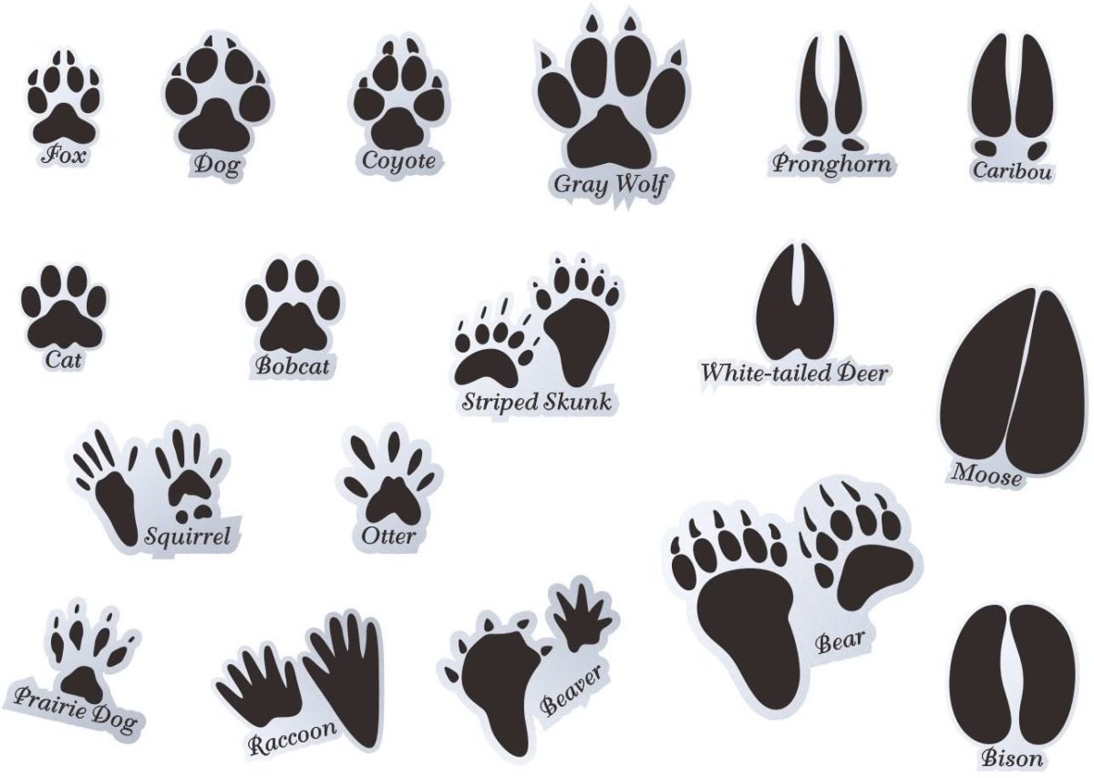 Дидактическая игра чьи следы Дикие животные