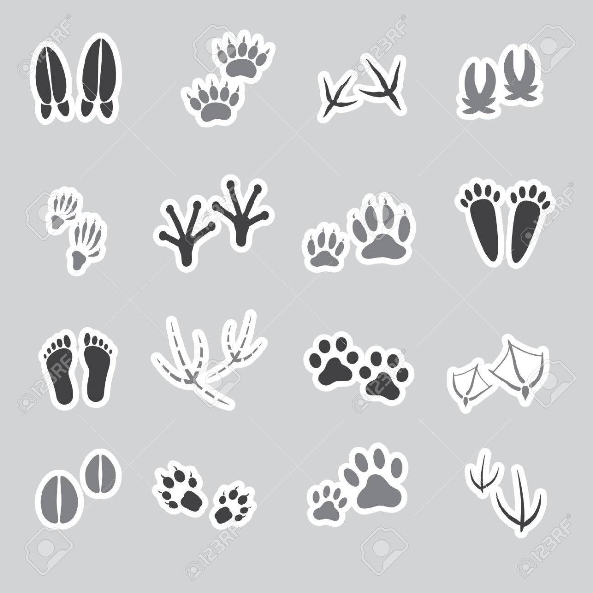 След зверя с тремя пальцами