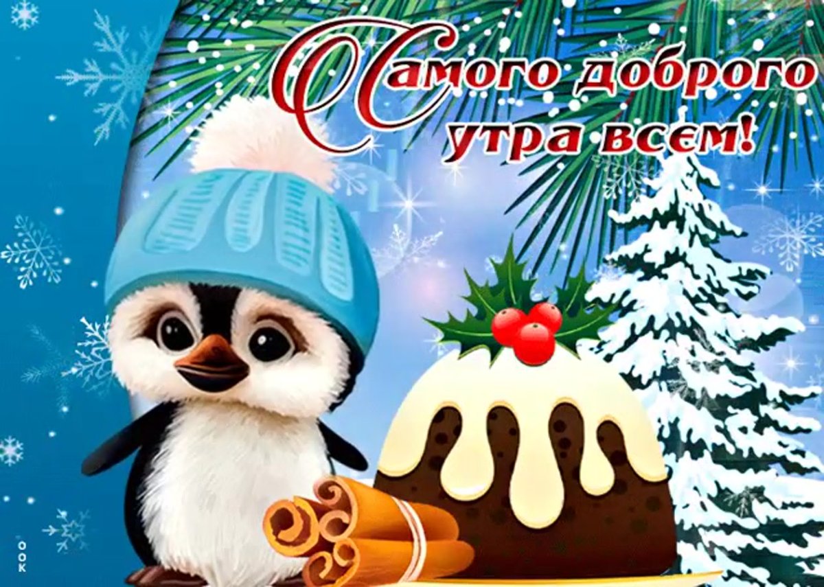 С добрым зимним утром и хорошим днём