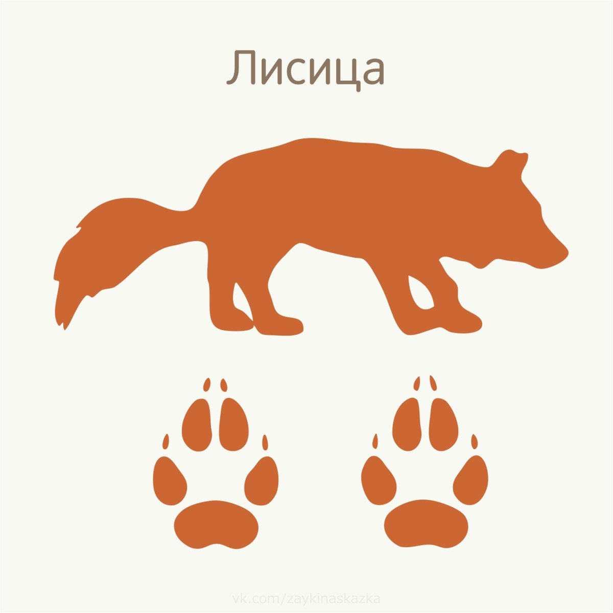 Следы животных Арктики