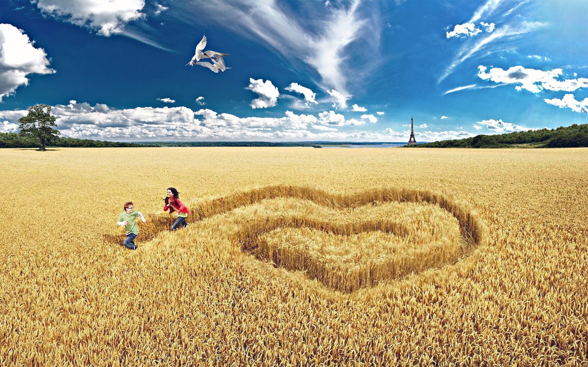 Сердечки на поле