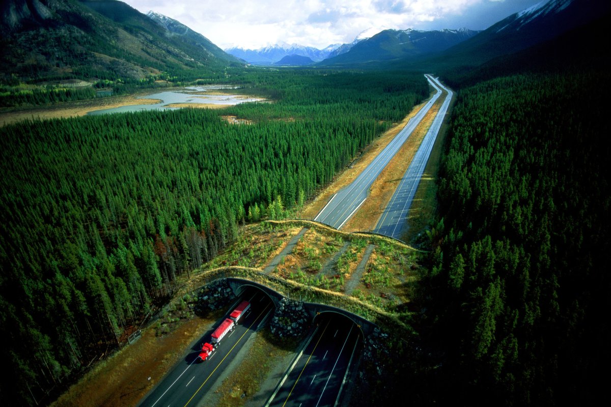 5.1 Автомагистраль