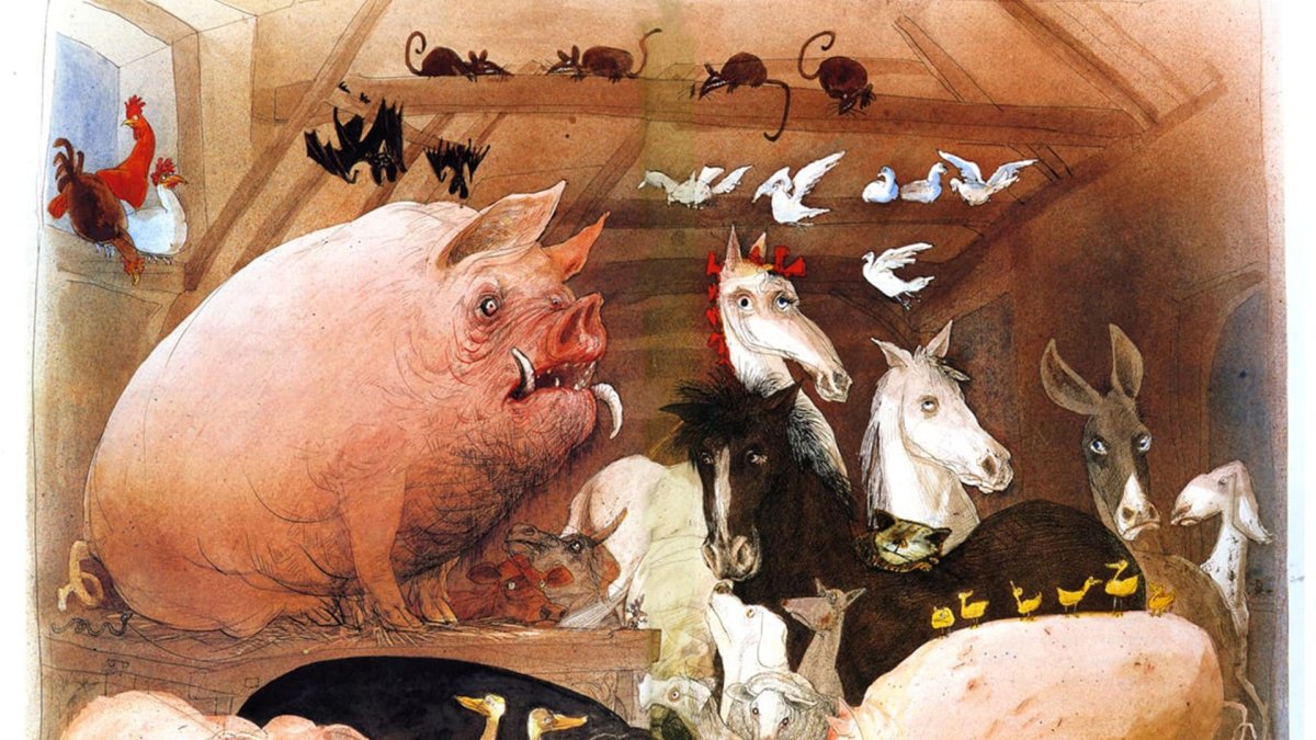 Роб Макиннис фотограф