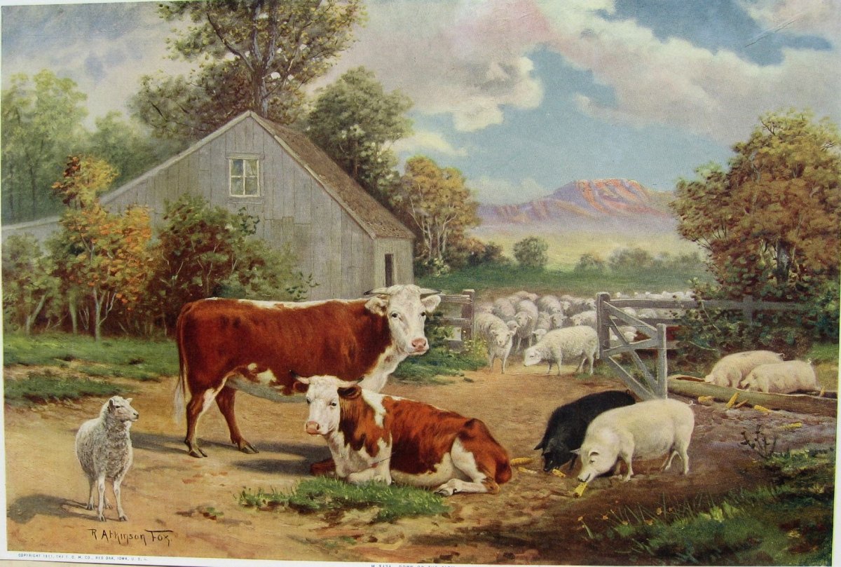 Ферма иллюстрация