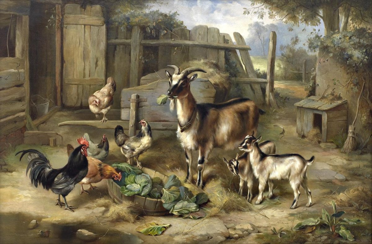 Животные на ферме