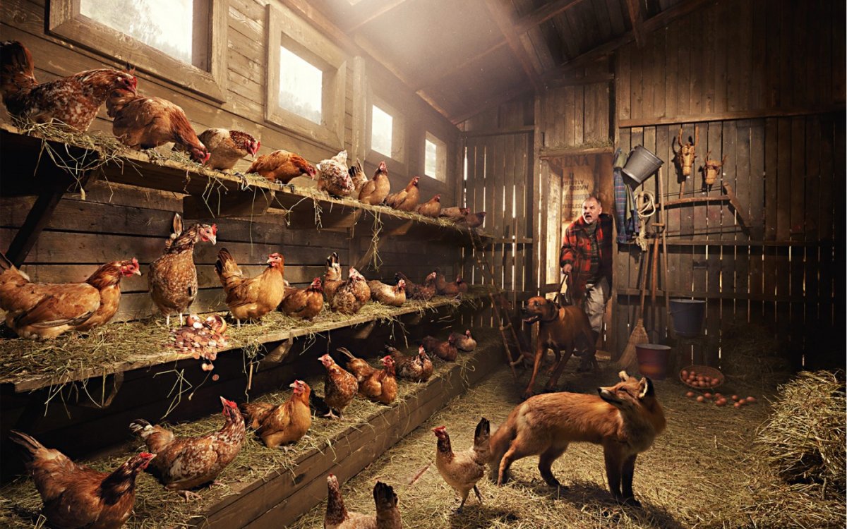 Скотный двор ферма коровник