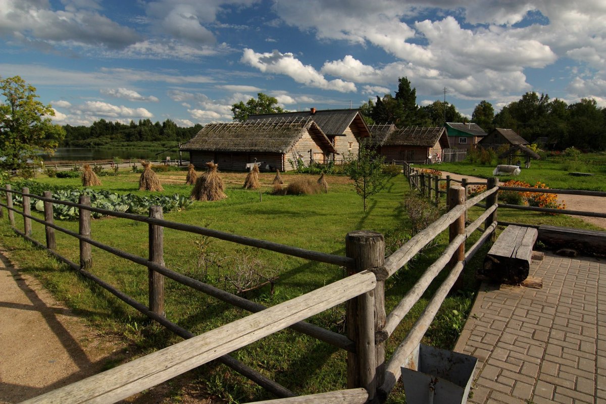 Домашние животные на ферме