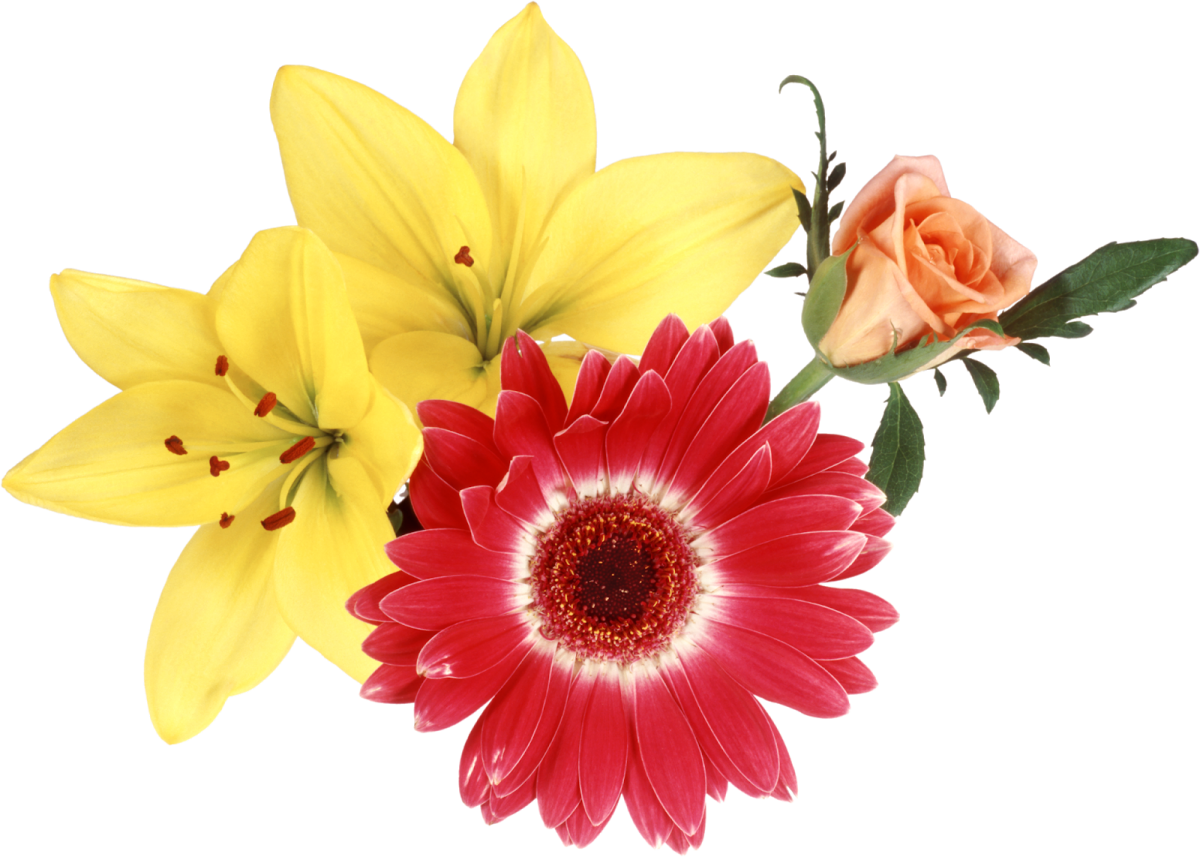 Прозрачные цветы