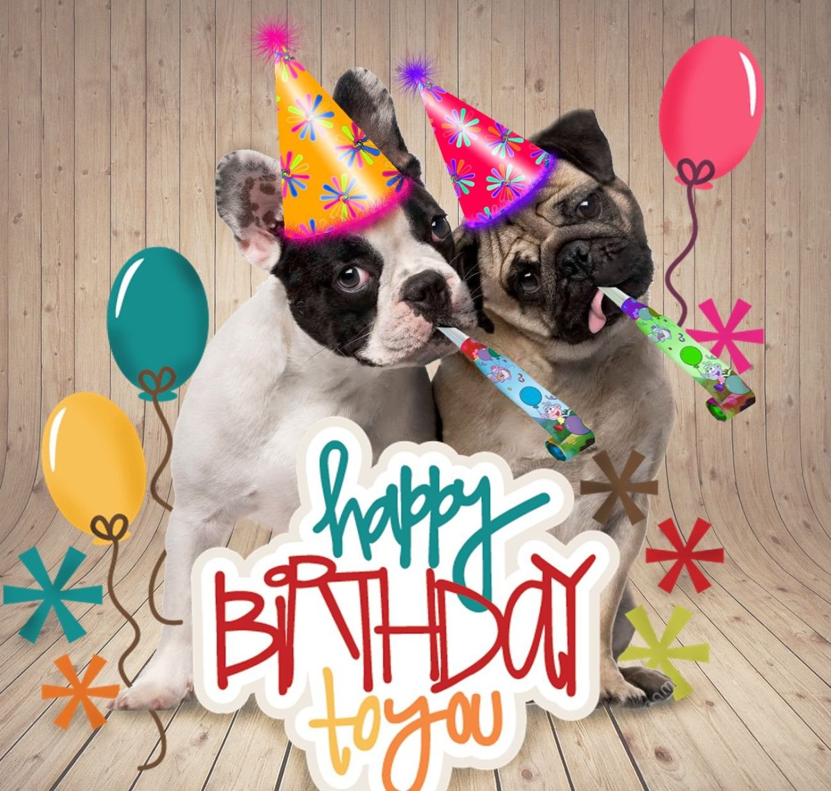 Поздравления с днём рождения с бульдогом