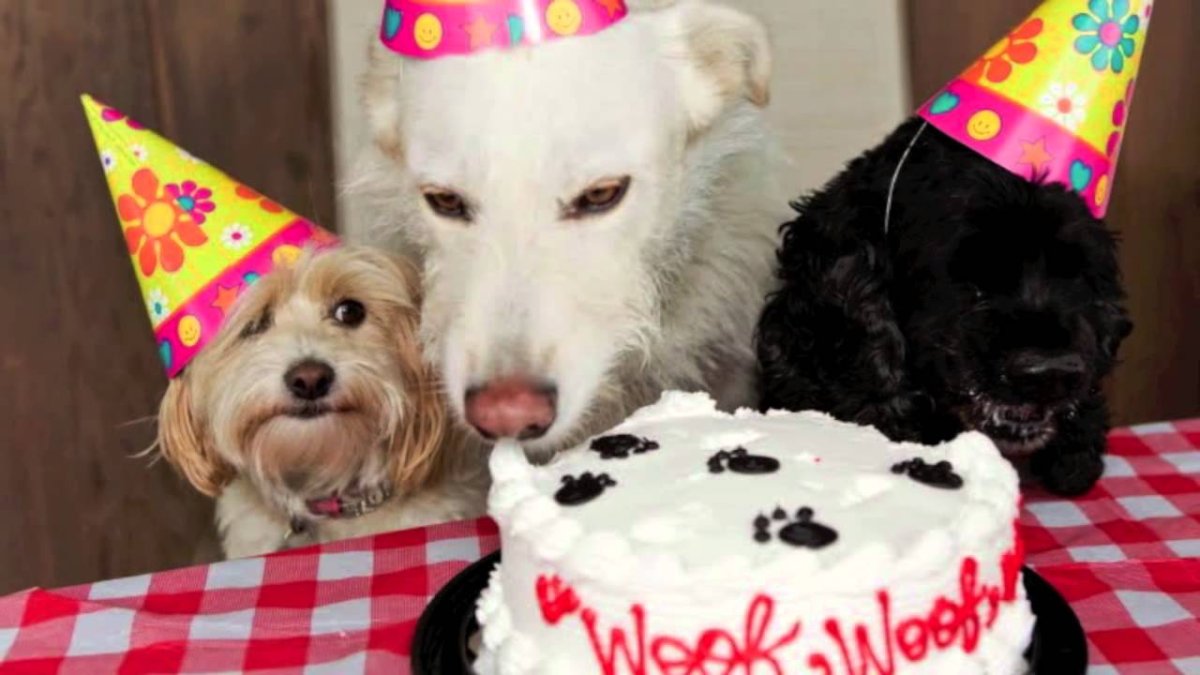 Тортик с собачкой