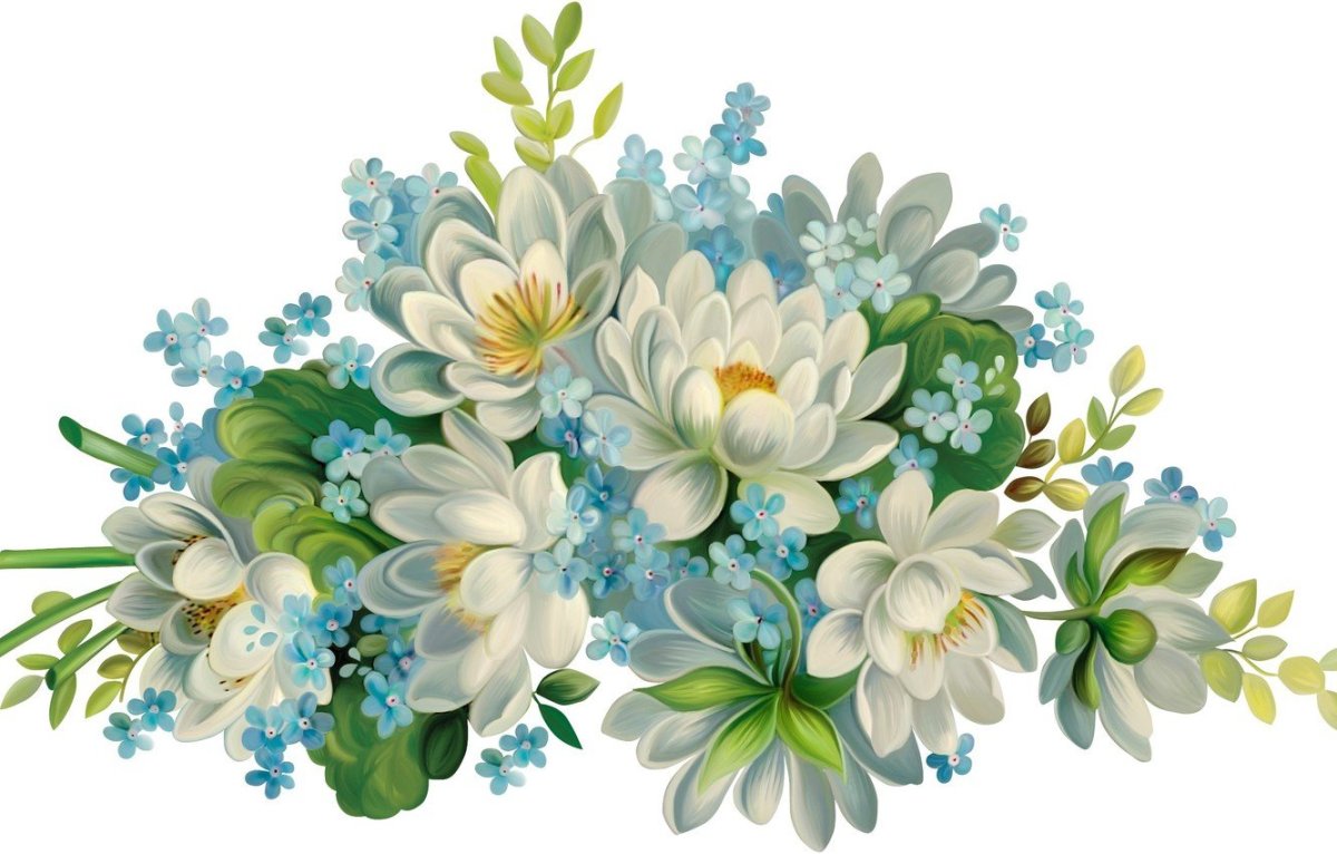 Клипарт цветы на прозрачном фоне