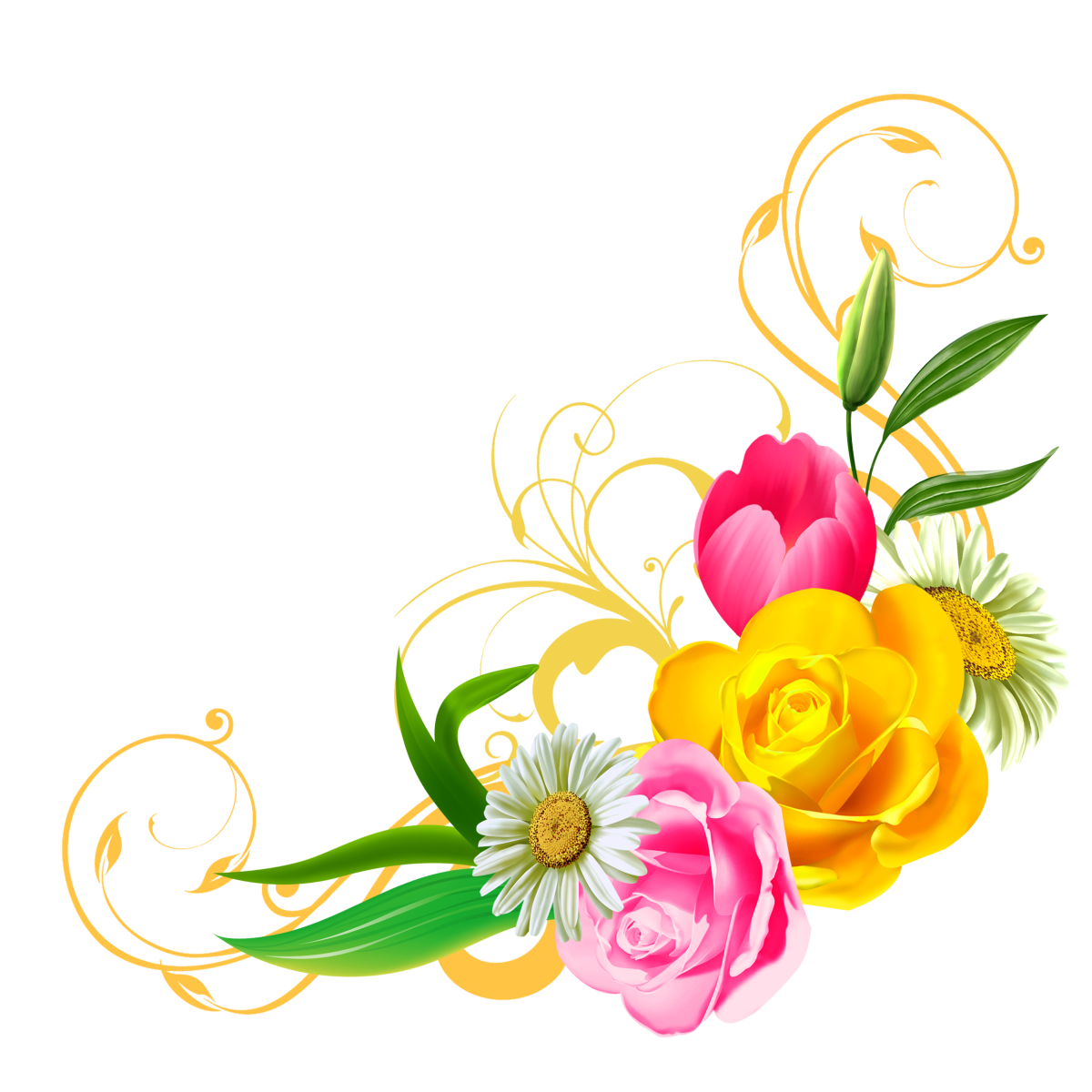 Фаленопсис Pink Peace