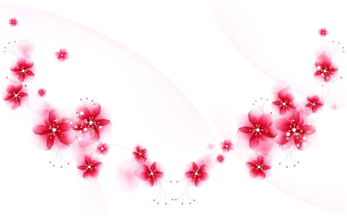 Цветы на прозрачном фоне