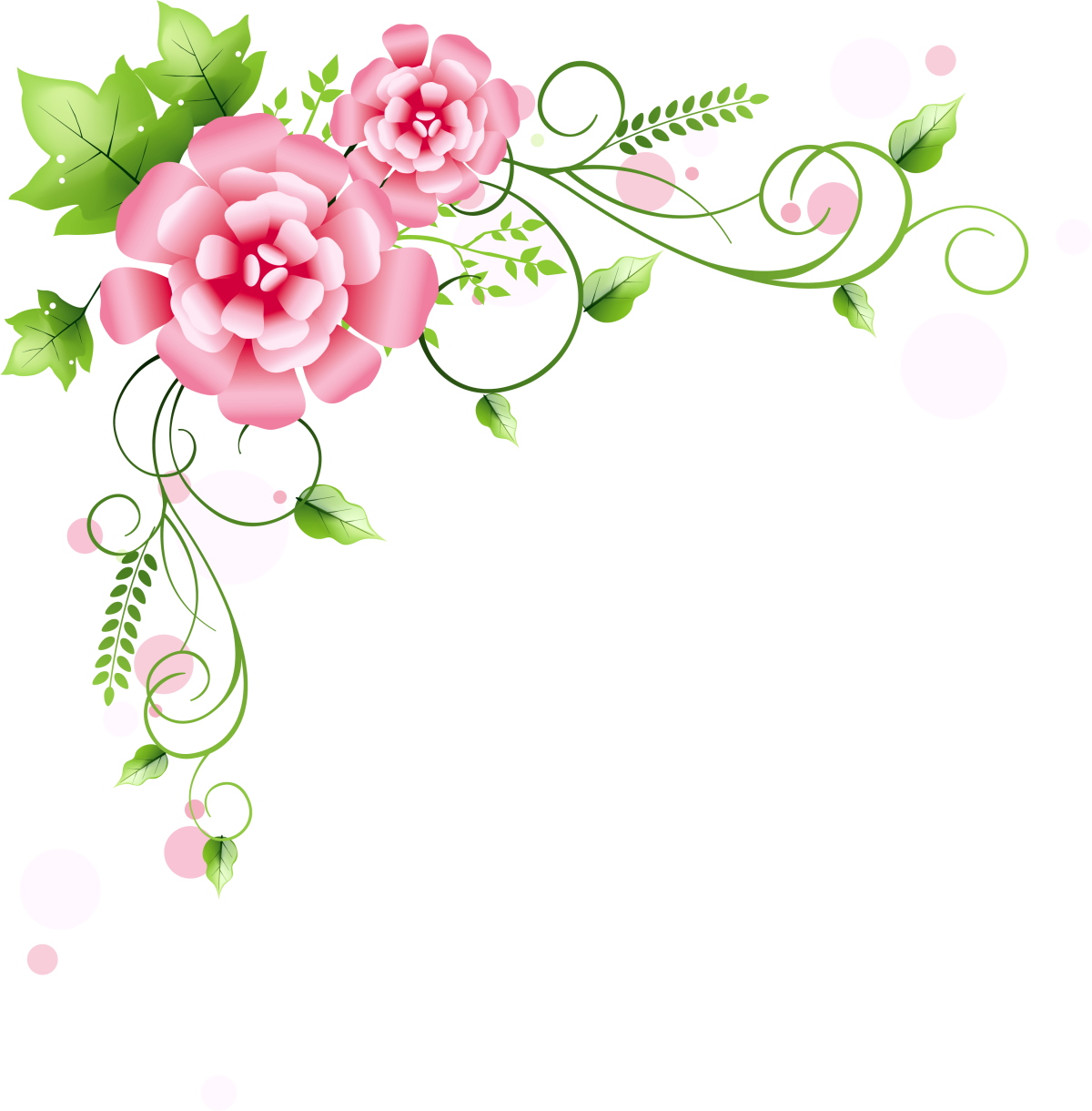 Цветы на белом фоне для детей