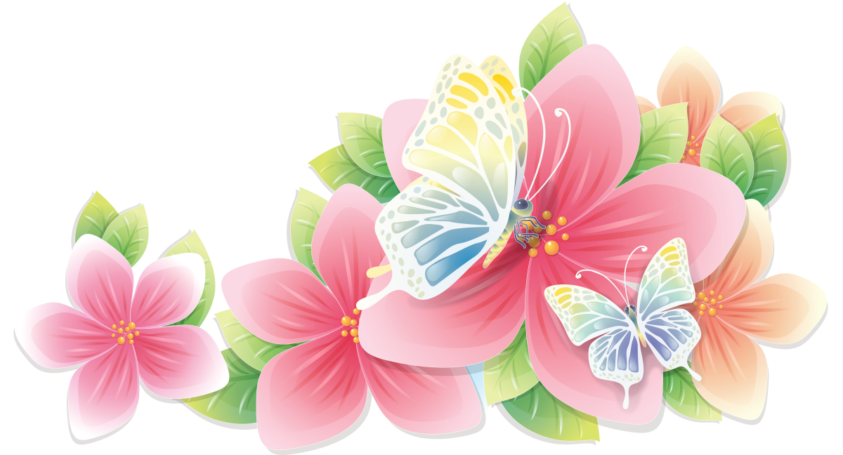 Цветы одиночные на белом фоне