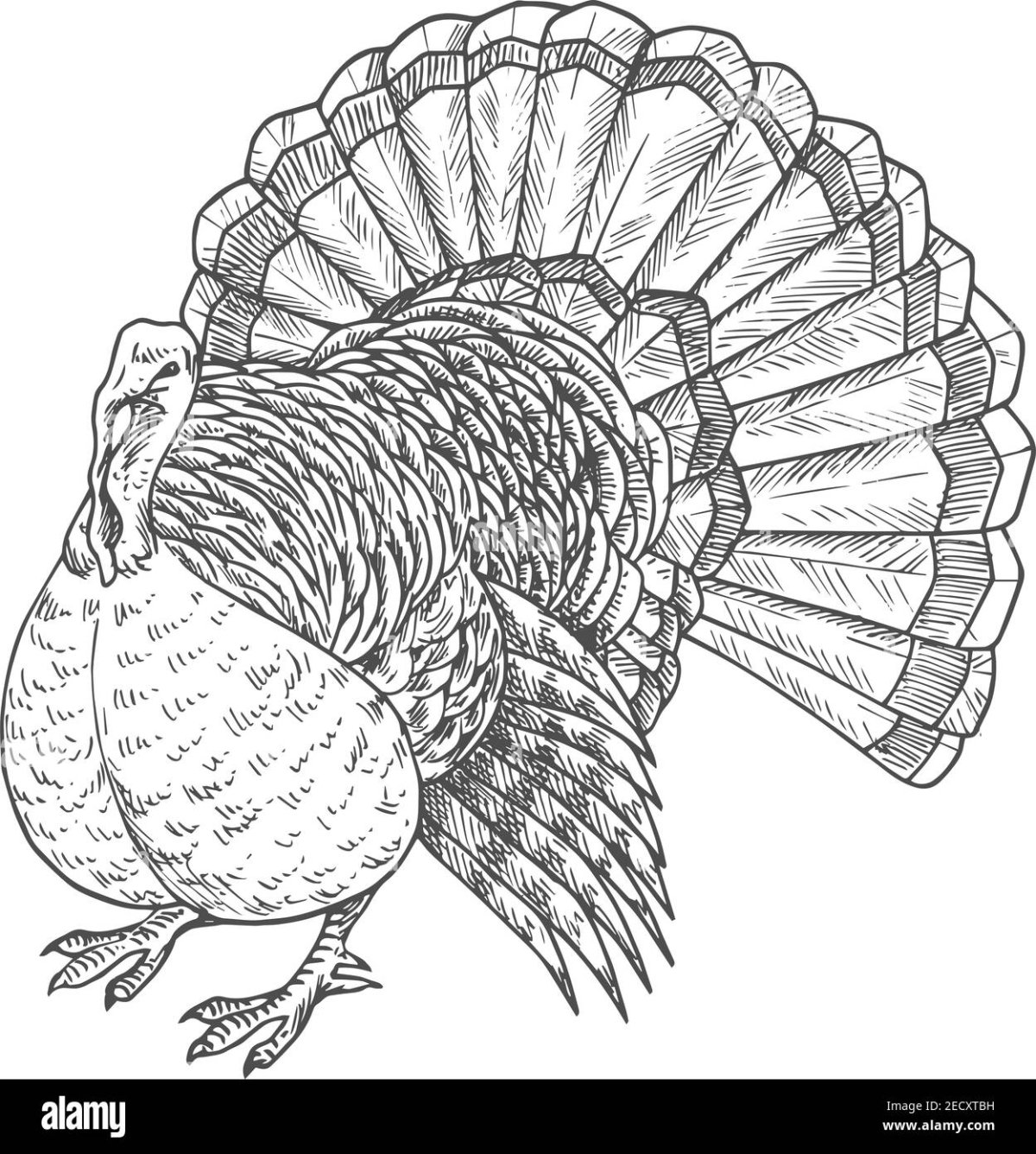 Индюк скетч