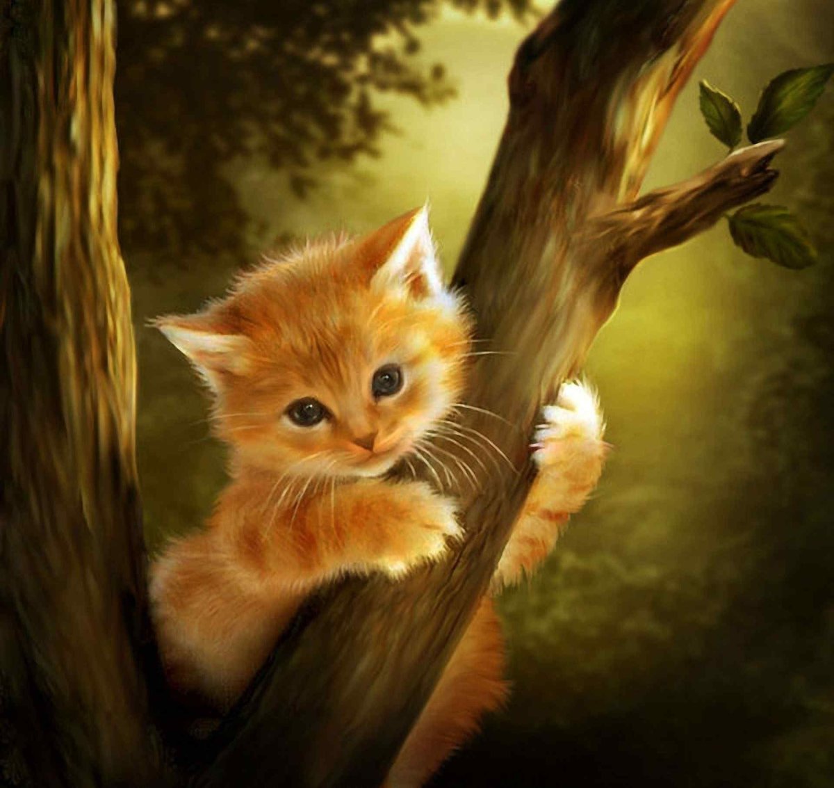 Две рыжие кошки