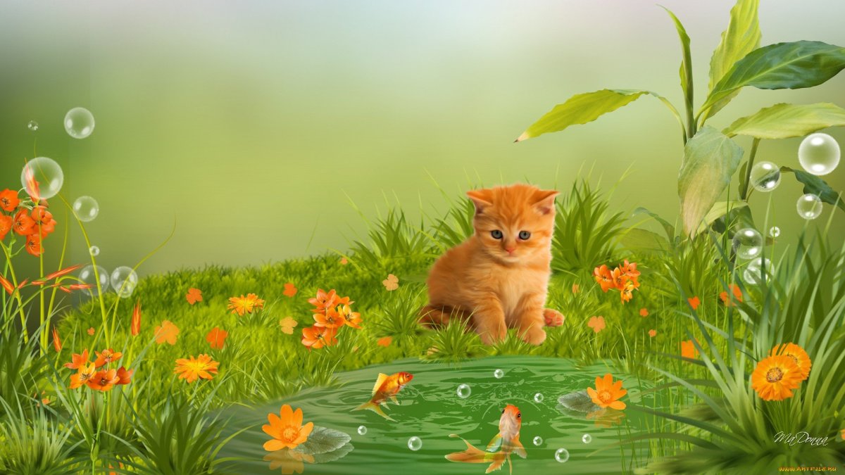 Рыжий котёнок