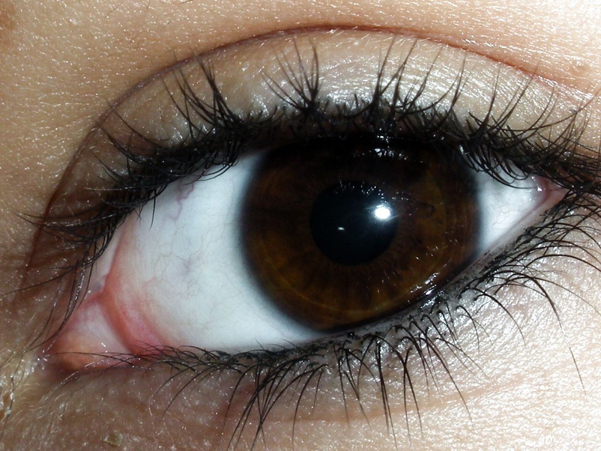 Фиолетовые глаза Эстетика