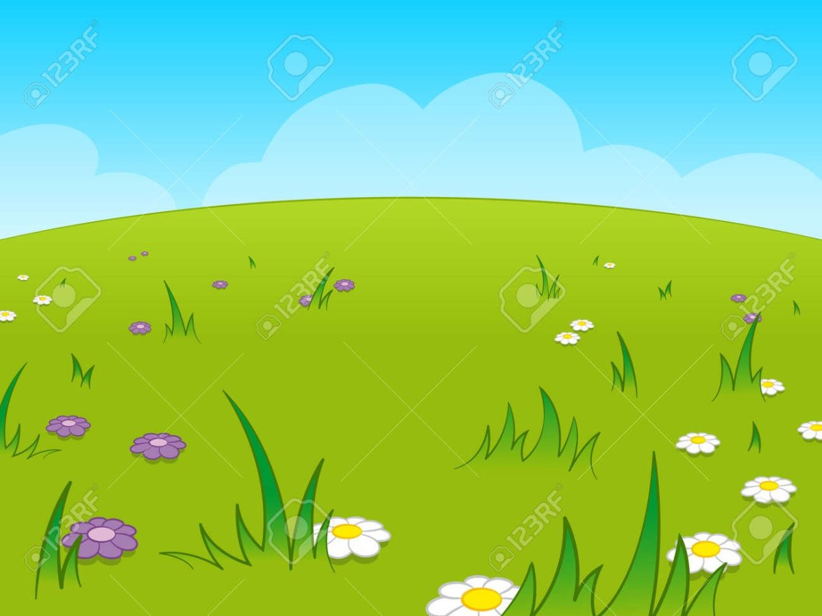 Мир насекомых