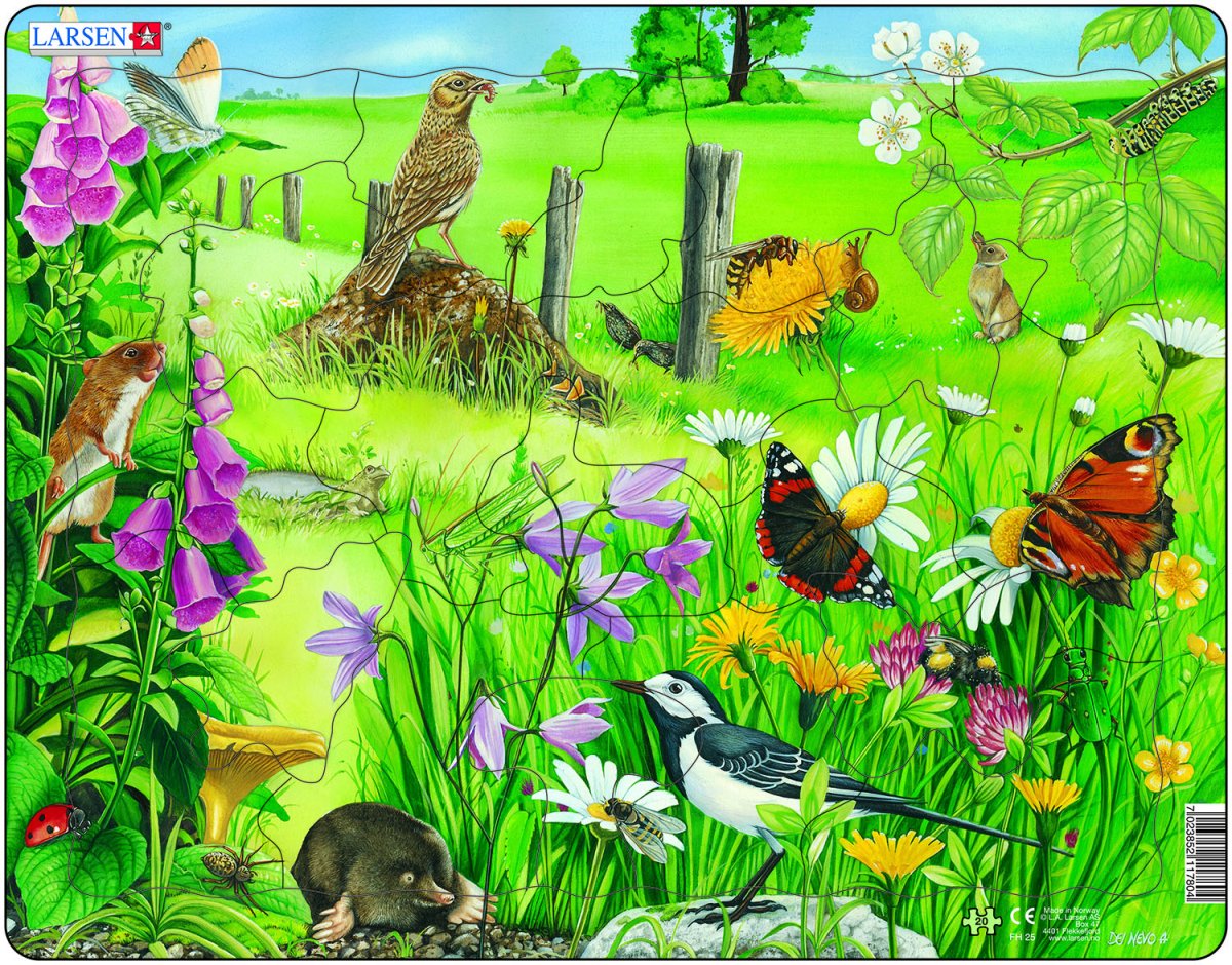 Трава вектор