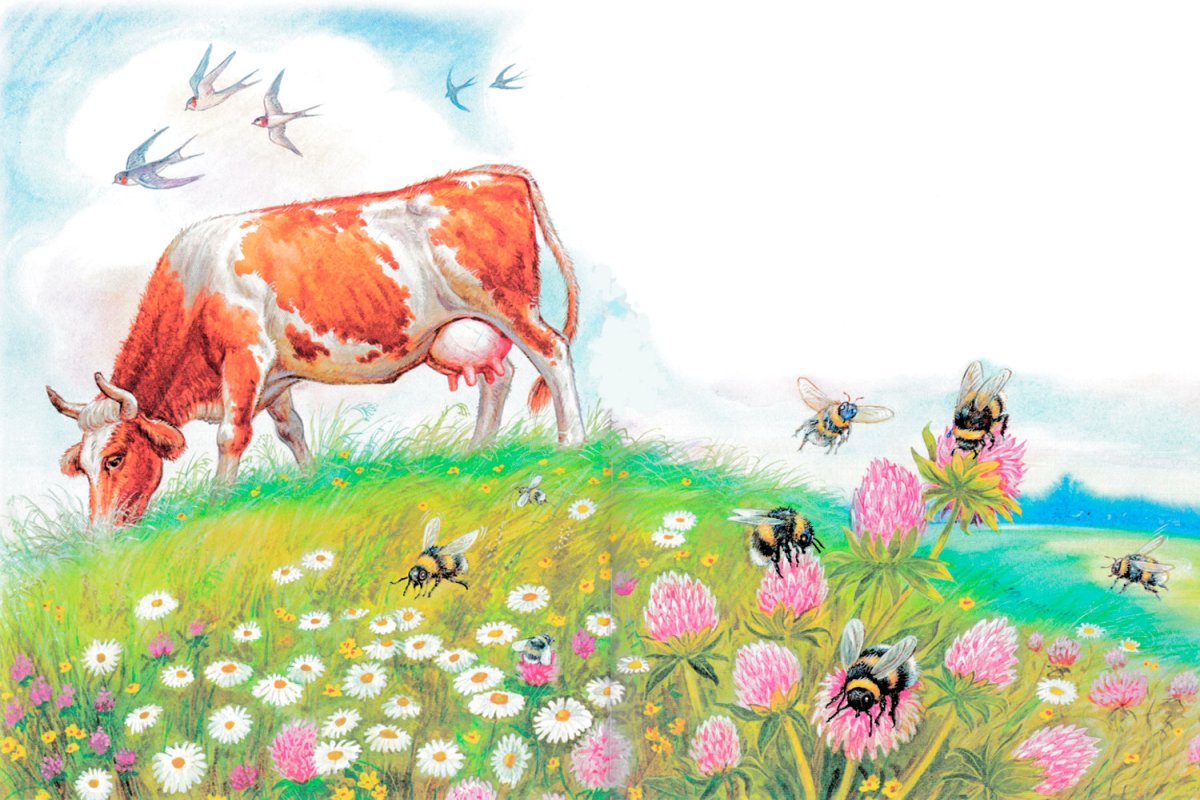 Луг с цветами и бабочками