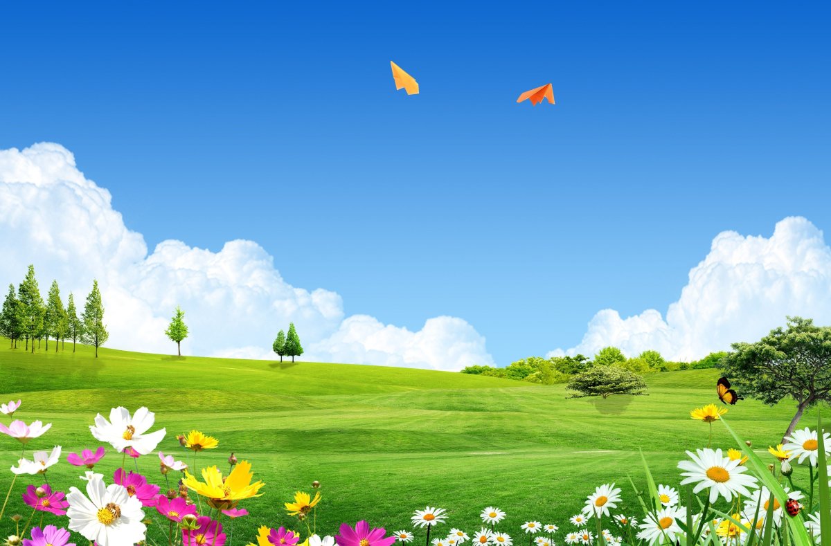 Луг рисунок