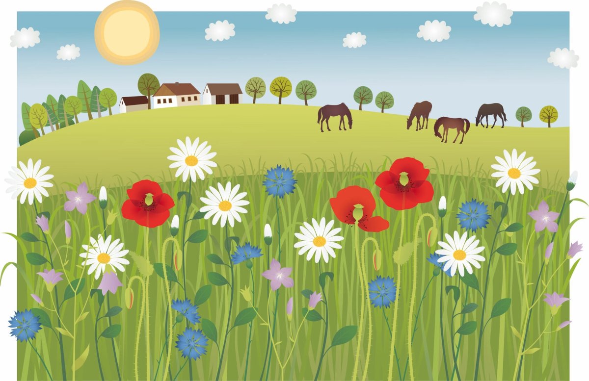 Мультяшная природа