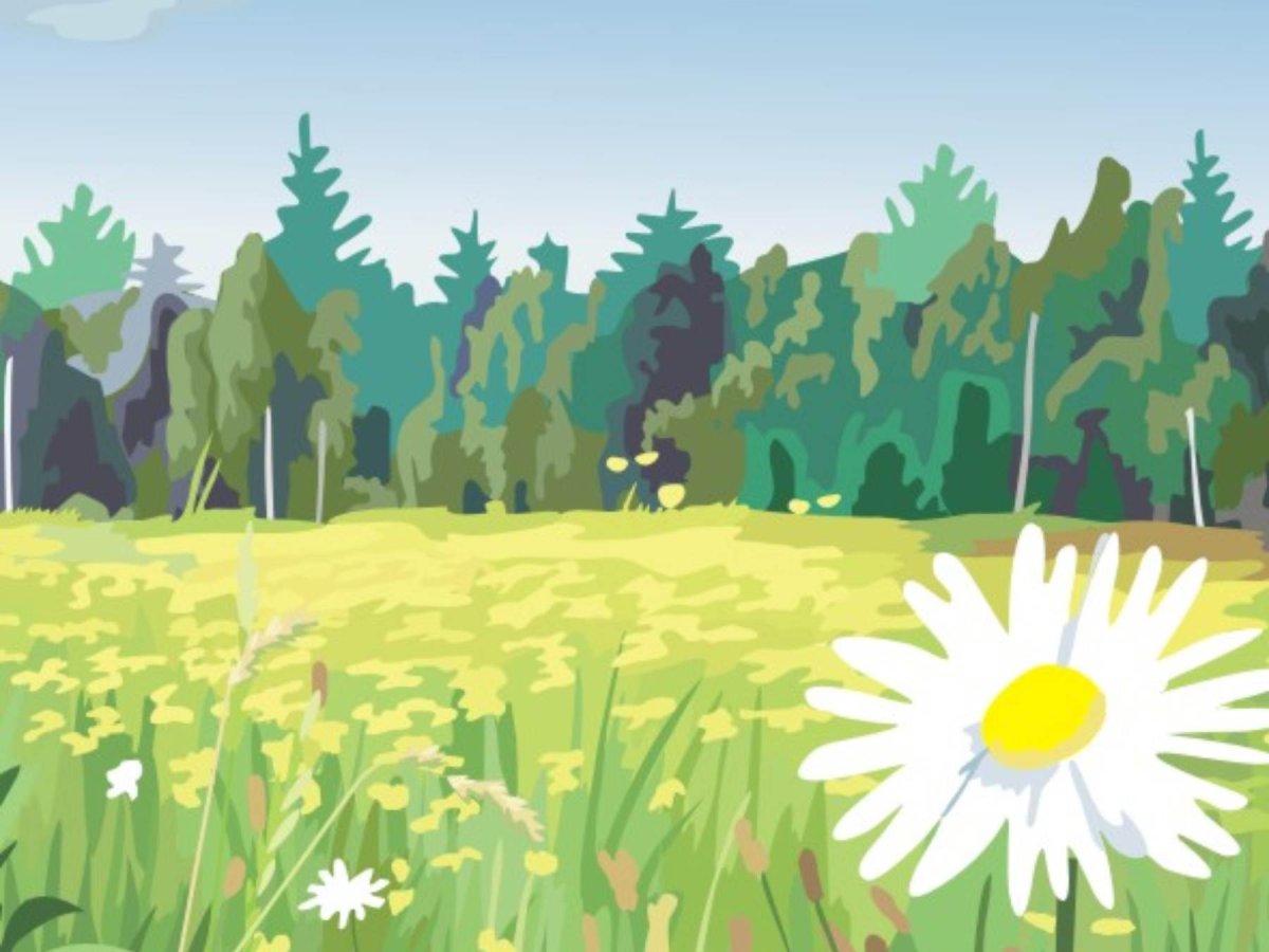 Зеленая лужайка с цветами