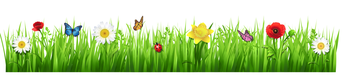 Поляна ромашки вектор