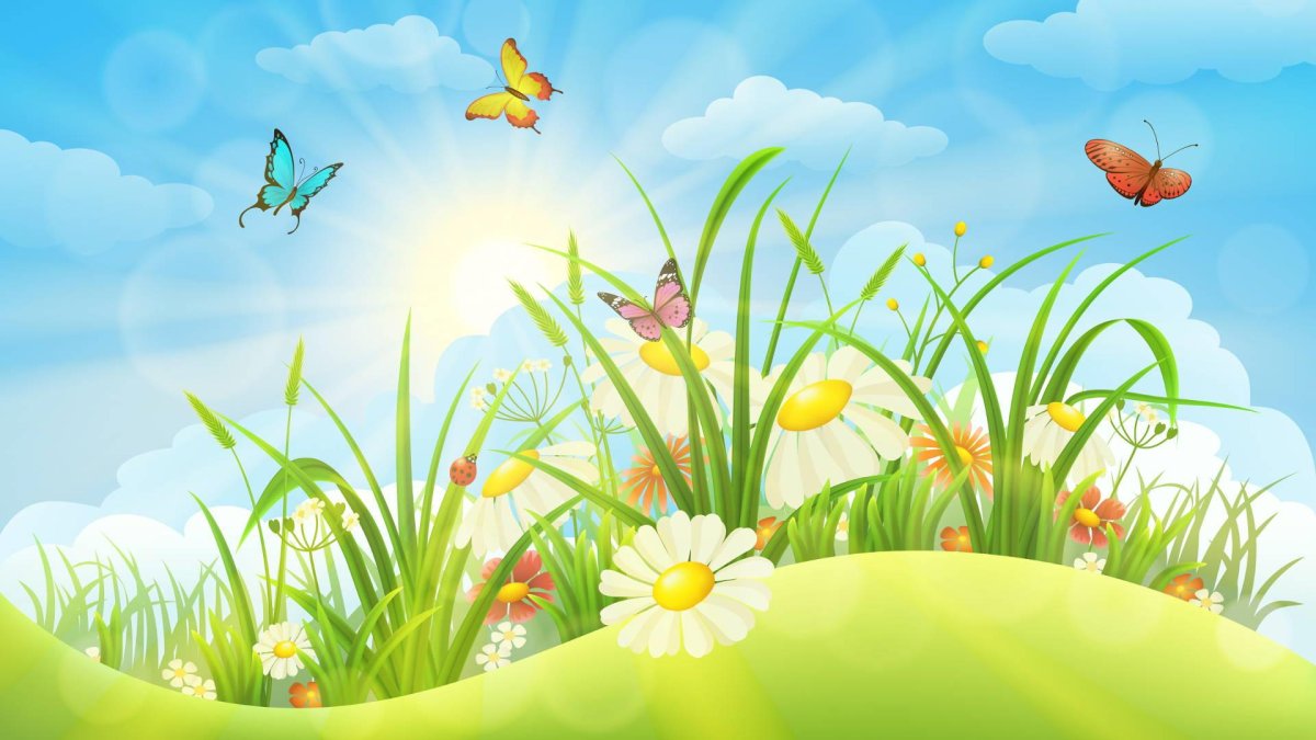 Поляна с цветами и бабочками