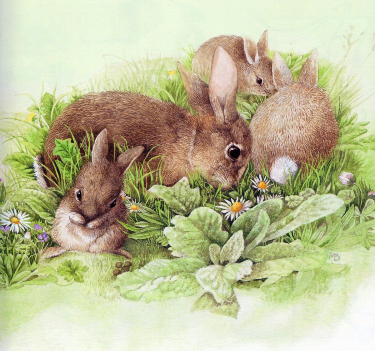 Винтажные иллюстрации с кроликами