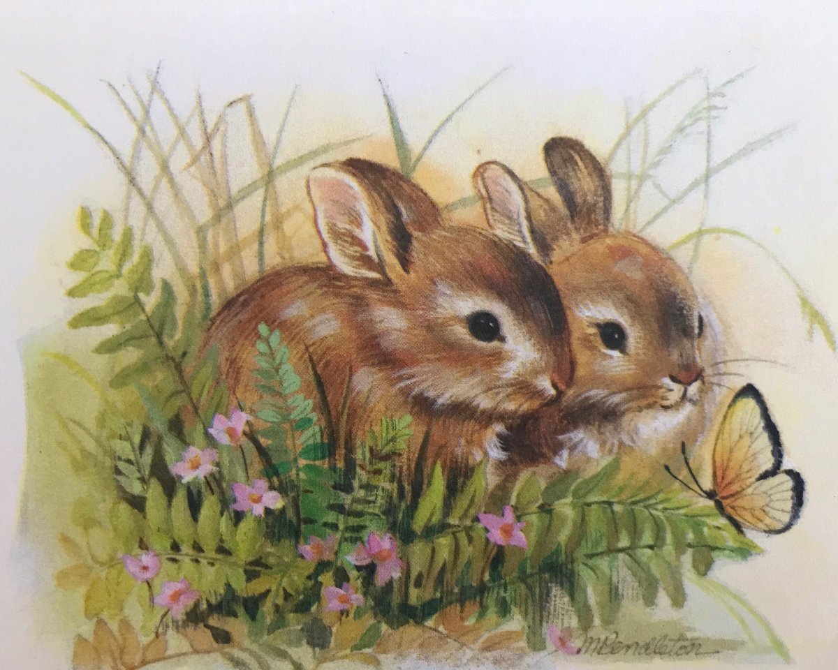 Акварельные зайчики семья